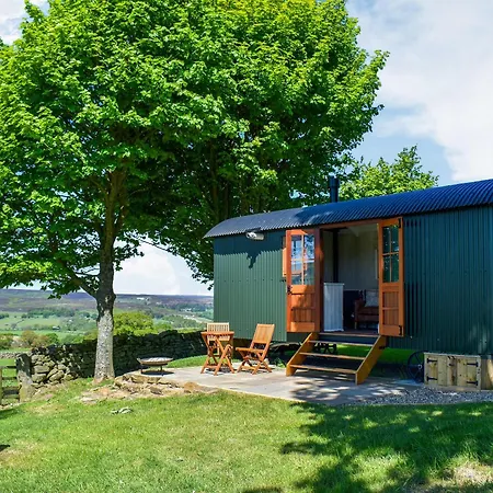 Barn Owl Hut - Uk49769 Apartment *