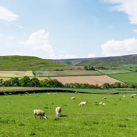 Apartament Barn Owl Hut - Uk49769 *