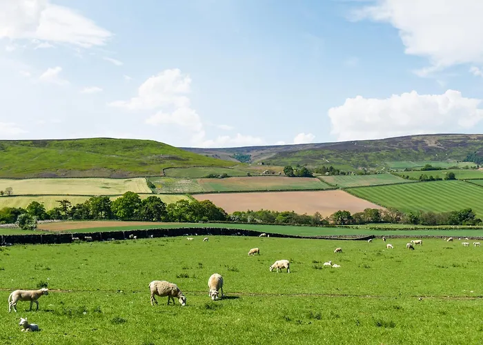 Appartamento Barn Owl Hut - Uk49769 *