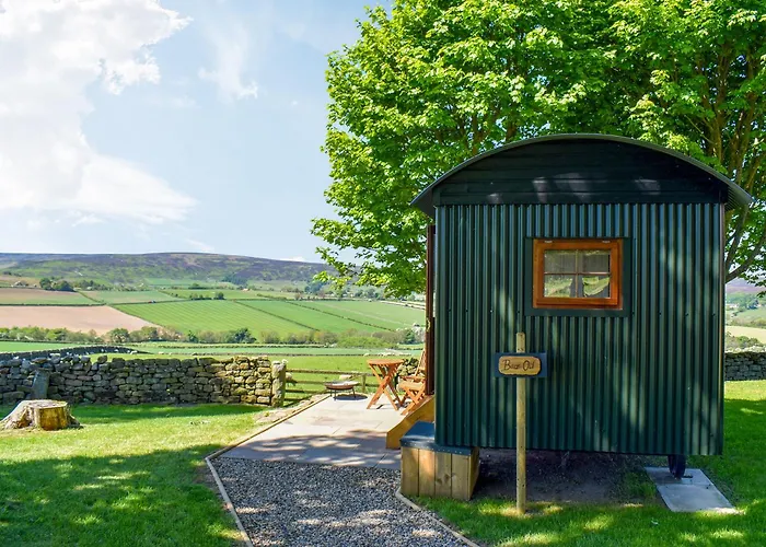 Appartamento Barn Owl Hut - Uk49769 *